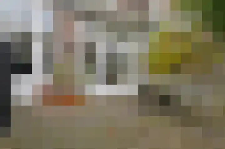 Laan van Meerdervoort 382 Den Haag thumbnail 20