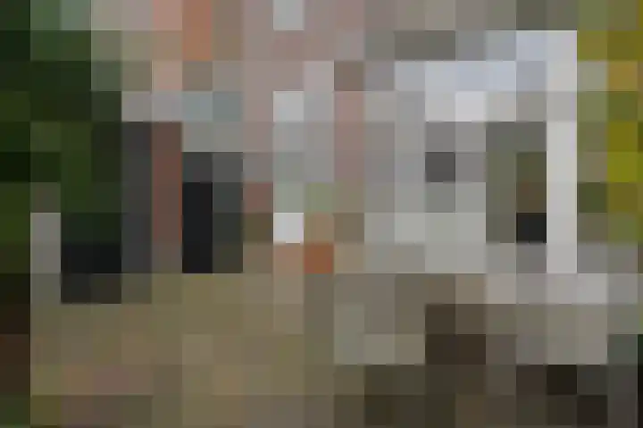 Laan van Meerdervoort 382 Den Haag thumbnail 21
