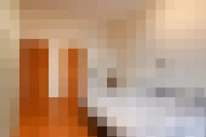 Laan van Meerdervoort 382 Den Haag thumbnail 36