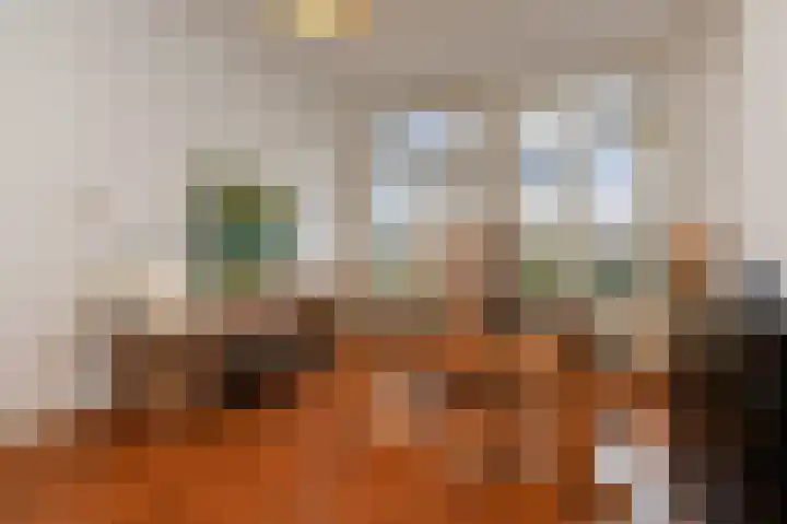 Laan van Meerdervoort 382 Den Haag thumbnail 38