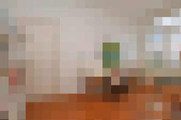 Laan van Meerdervoort 382 Den Haag thumbnail 43