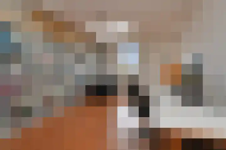 Laan van Meerdervoort 382 Den Haag thumbnail 48
