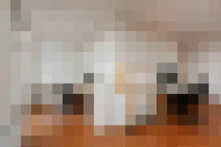 Laan van Meerdervoort 382 Den Haag thumbnail 50