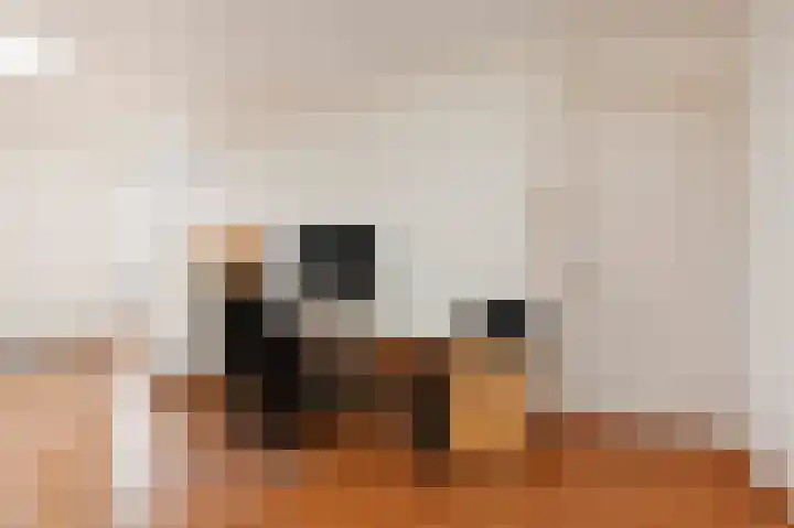 Laan van Meerdervoort 382 Den Haag thumbnail 54