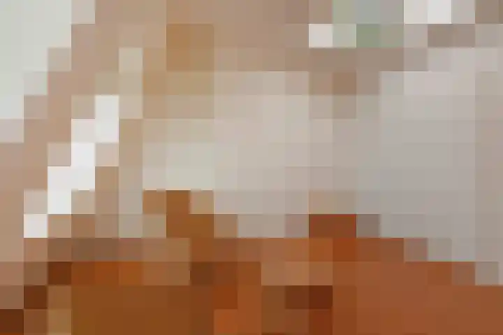 Laan van Meerdervoort 382 Den Haag thumbnail 58