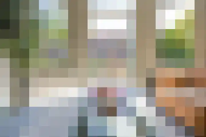 Laan van Meerdervoort 387 Den Haag thumbnail 9