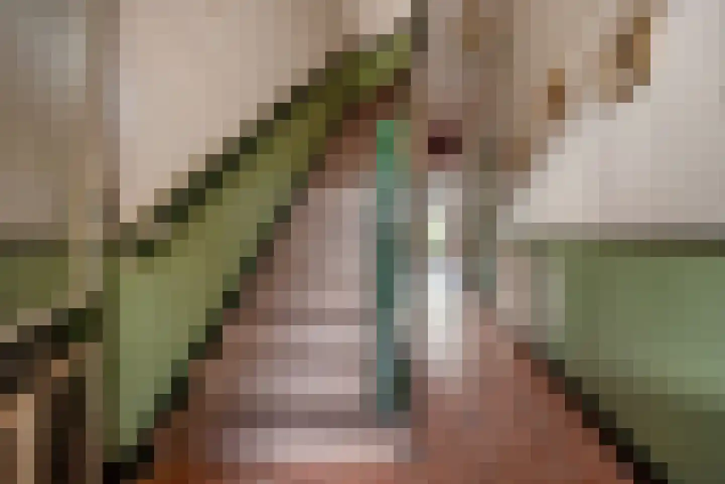 Laan van Meerdervoort 389 Den Haag thumbnail 13