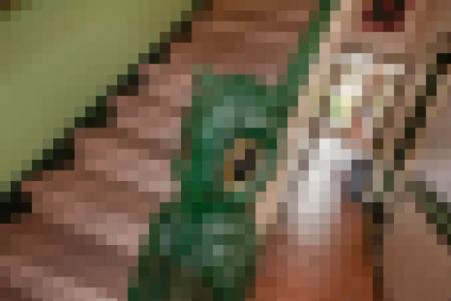 Laan van Meerdervoort 389 Den Haag thumbnail 14