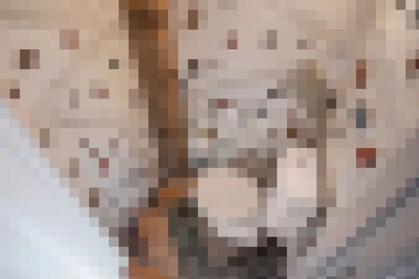 Laan van Meerdervoort 389 Den Haag thumbnail 15