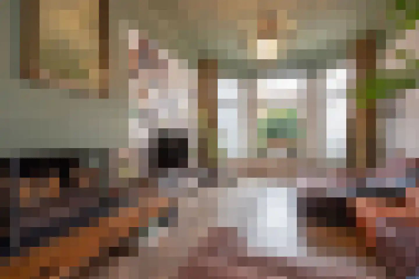 Laan van Meerdervoort 389 Den Haag thumbnail 17