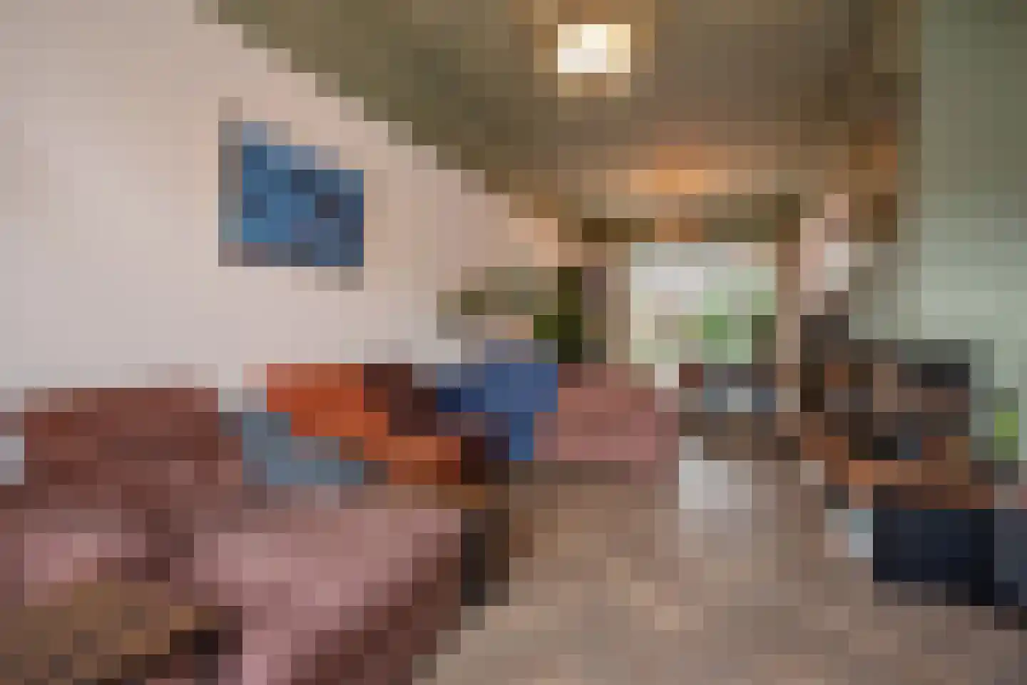 Laan van Meerdervoort 389 Den Haag thumbnail 19