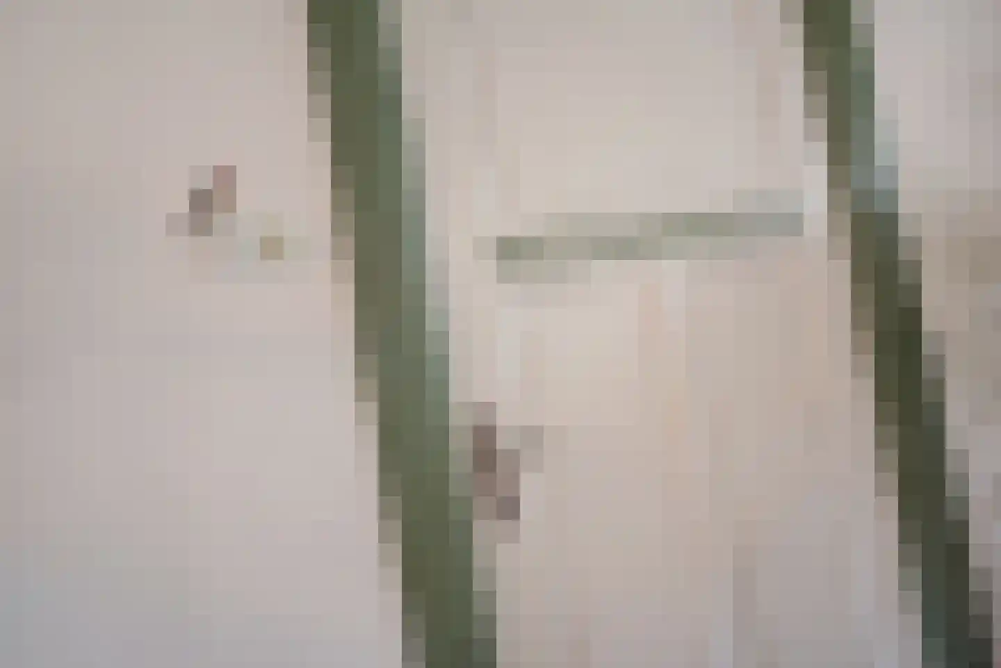 Laan van Meerdervoort 389 Den Haag thumbnail 22