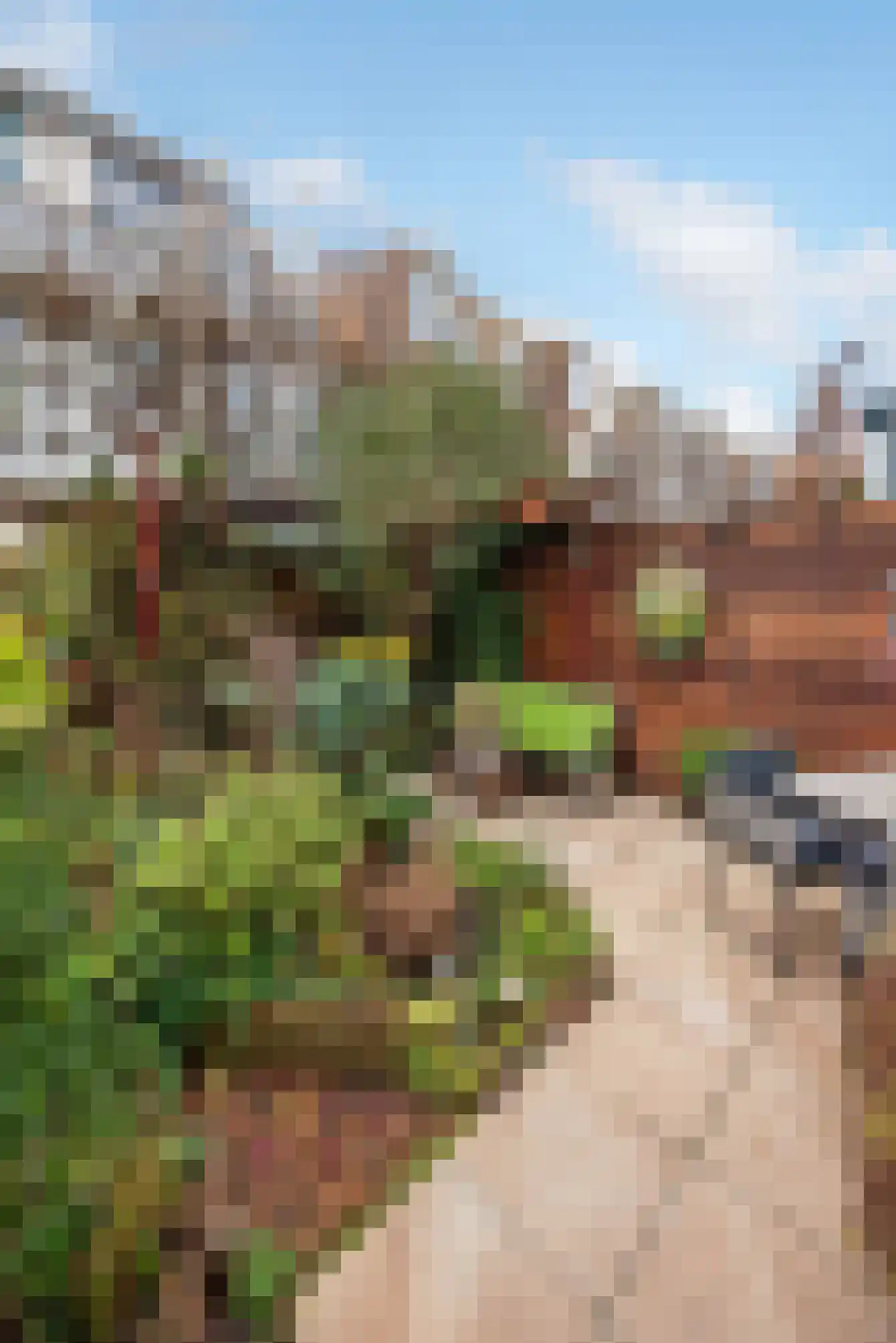 Laan van Meerdervoort 389 Den Haag thumbnail 29