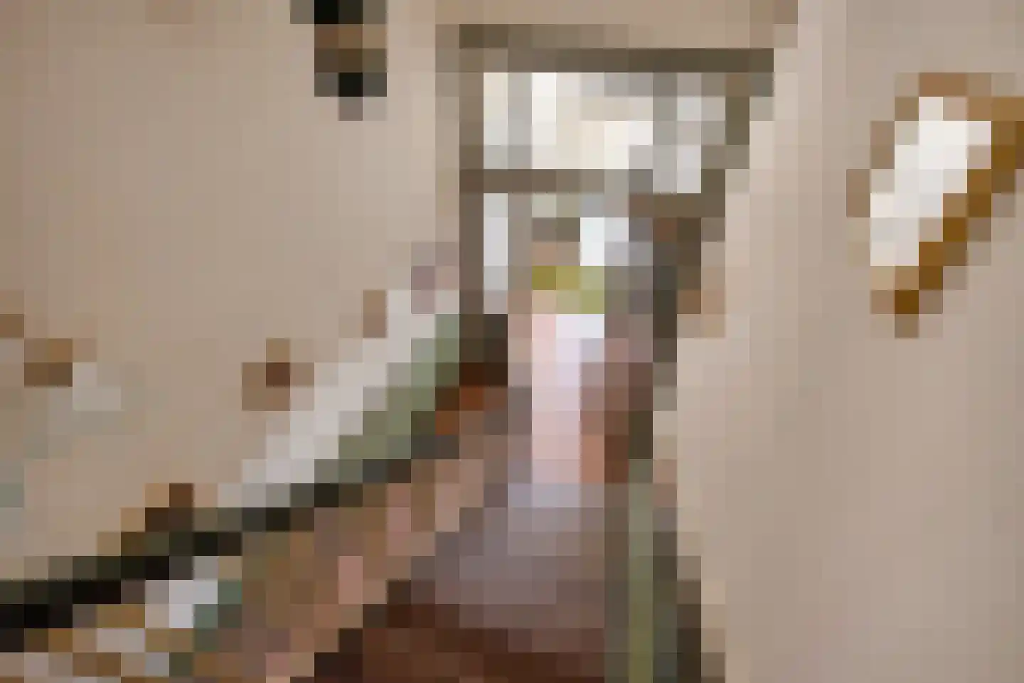 Laan van Meerdervoort 389 Den Haag thumbnail 35