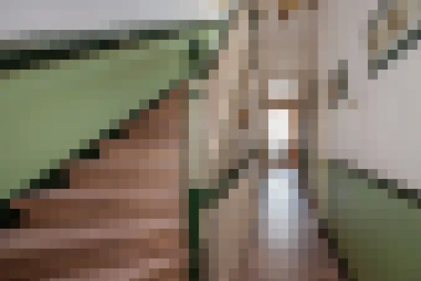 Laan van Meerdervoort 389 Den Haag thumbnail 36