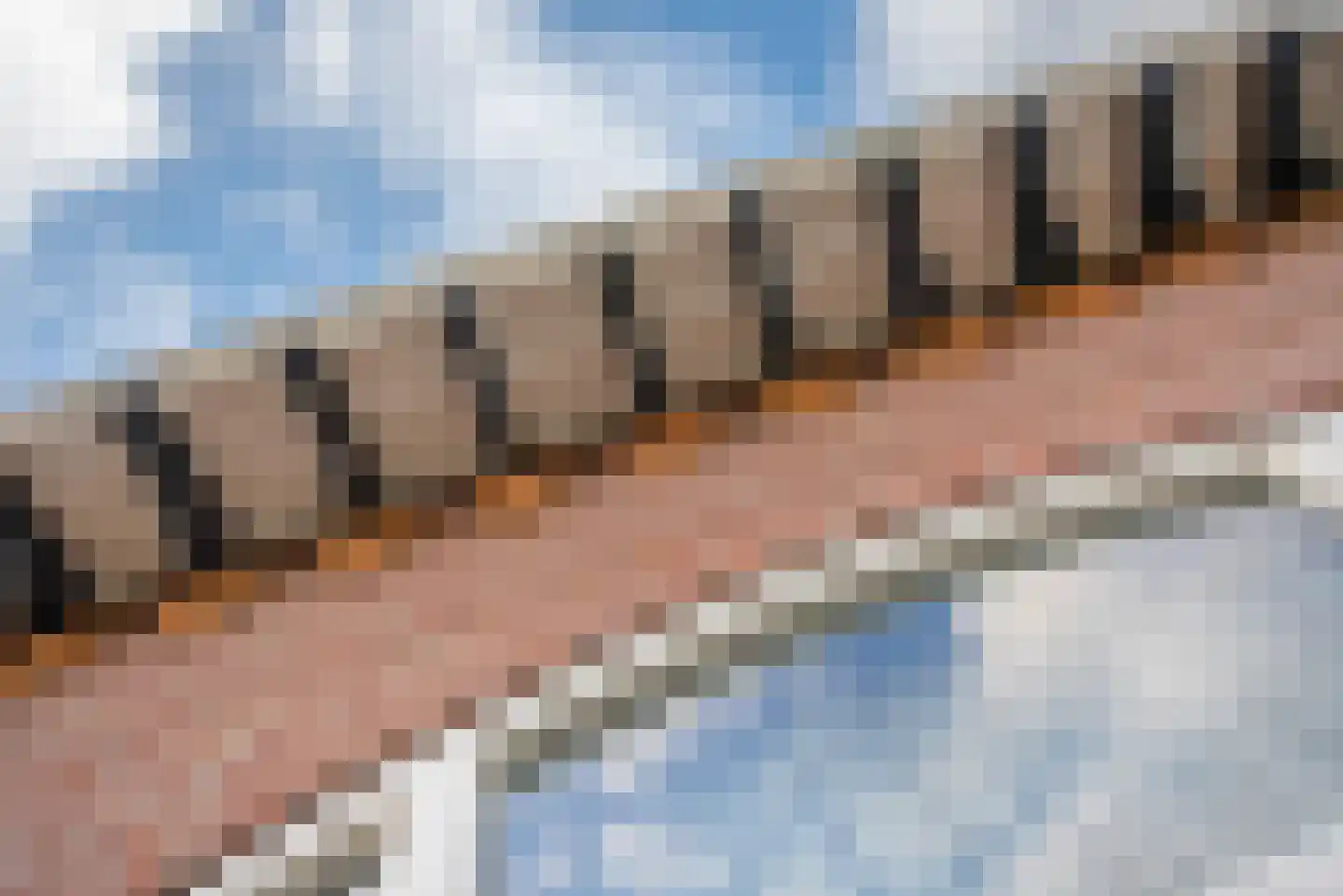 Laan van Meerdervoort 389 Den Haag thumbnail 48