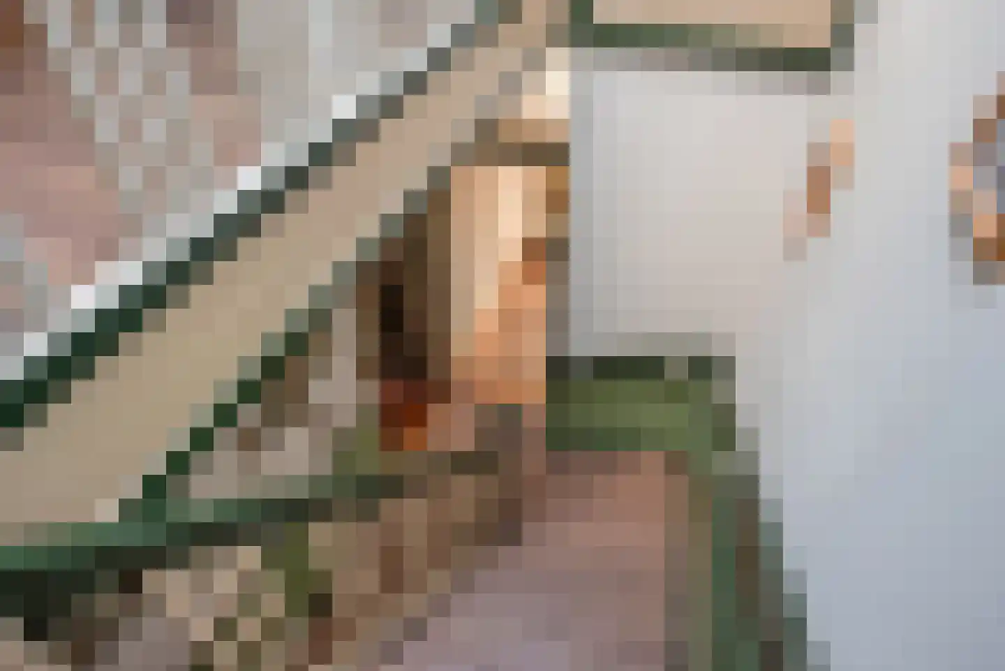Laan van Meerdervoort 389 Den Haag thumbnail 52
