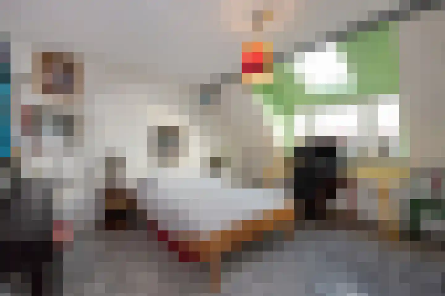 Laan van Meerdervoort 389 Den Haag thumbnail 55
