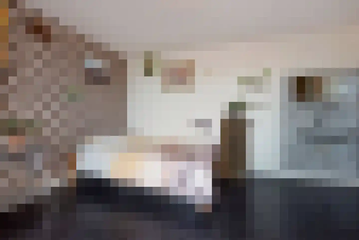 Laan van Meerdervoort 389 Den Haag thumbnail 59