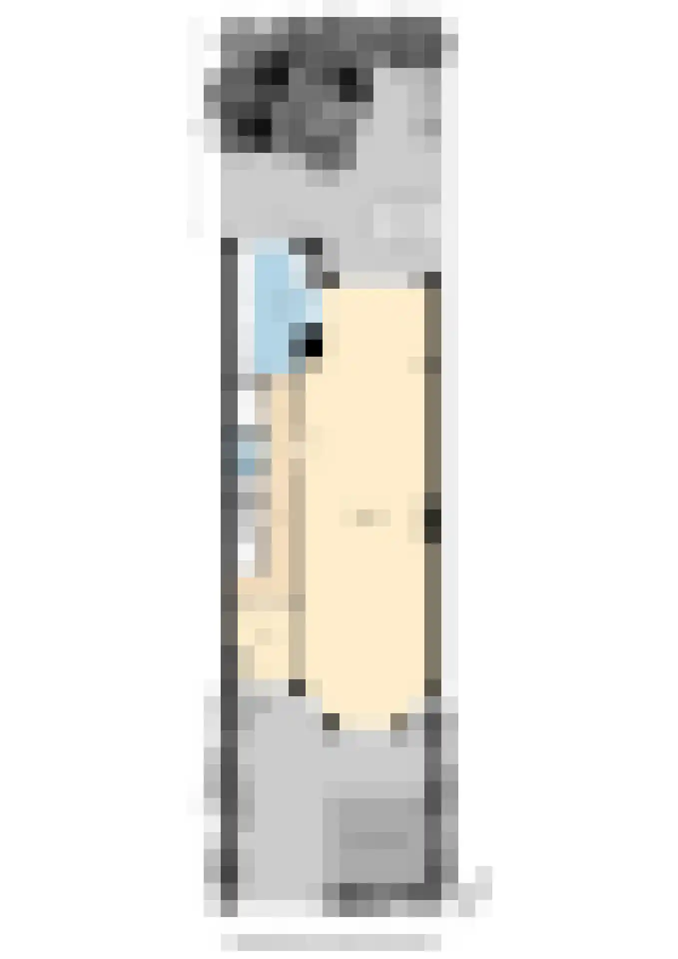 Laan van Meerdervoort 389 Den Haag thumbnail 69