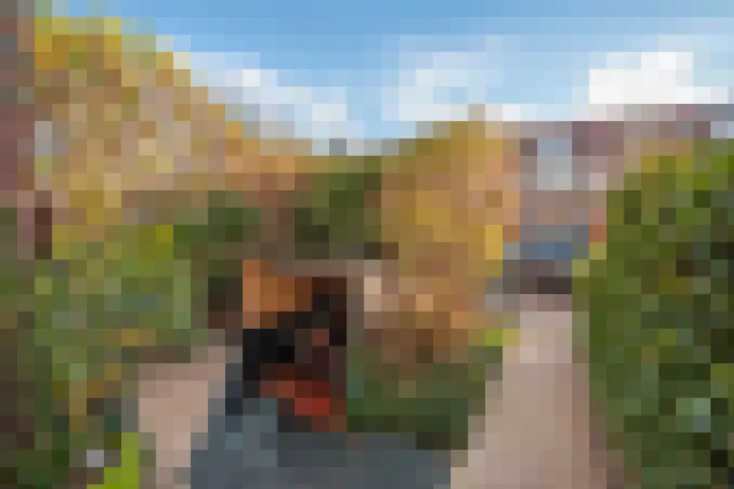 Laan van Meerdervoort 389 Den Haag thumbnail 8