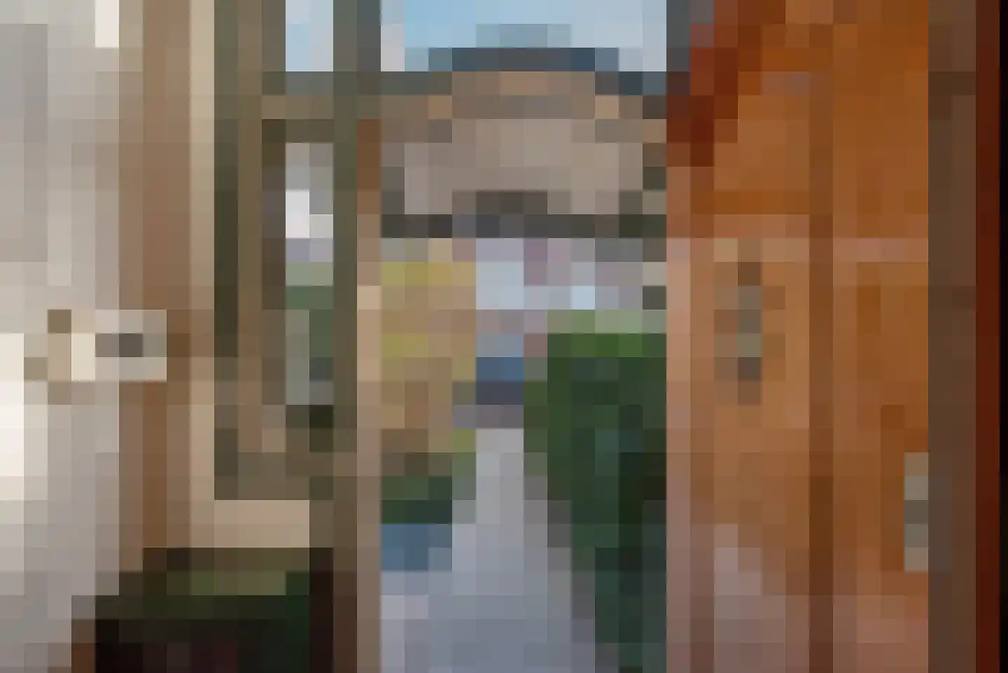 Laan van Meerdervoort 389 Den Haag thumbnail 9