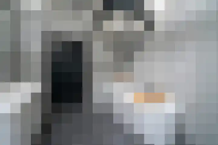 Laan van Meerdervoort 39 A Den Haag thumbnail 13