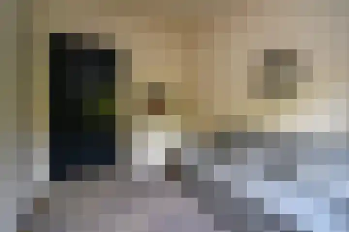 Laan van Meerdervoort 39 A Den Haag thumbnail 20