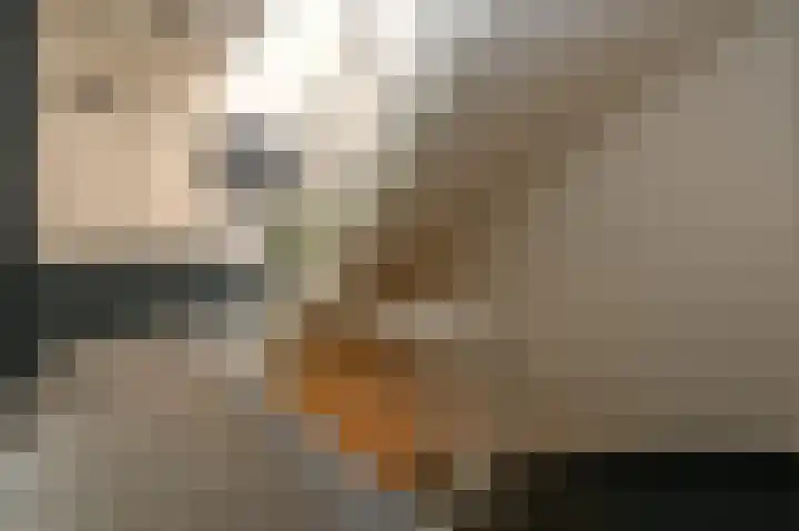 Laan van Meerdervoort 39 A Den Haag thumbnail 30