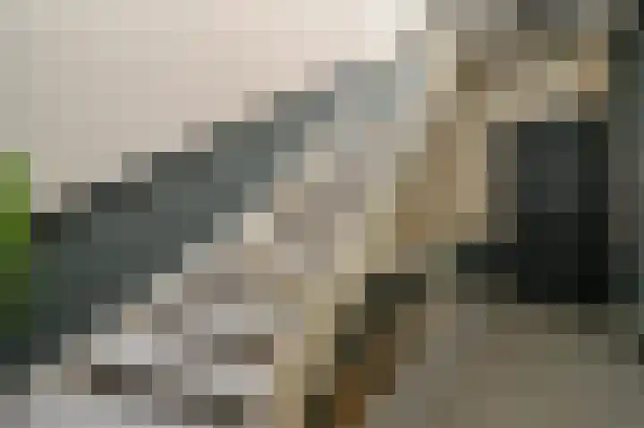 Laan van Meerdervoort 39 A Den Haag thumbnail 31