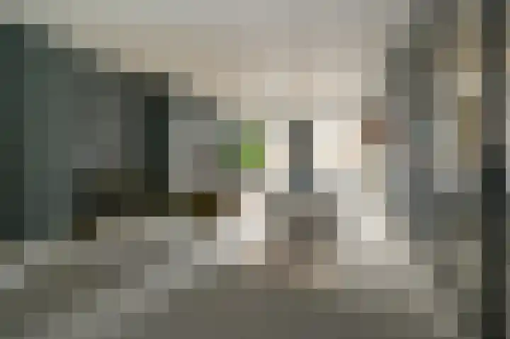 Laan van Meerdervoort 39 A Den Haag thumbnail 33