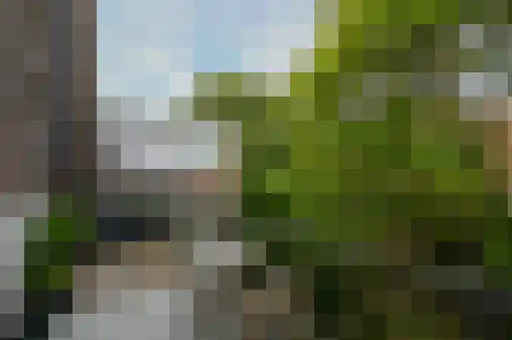 Laan van Meerdervoort 39 A Den Haag thumbnail 40