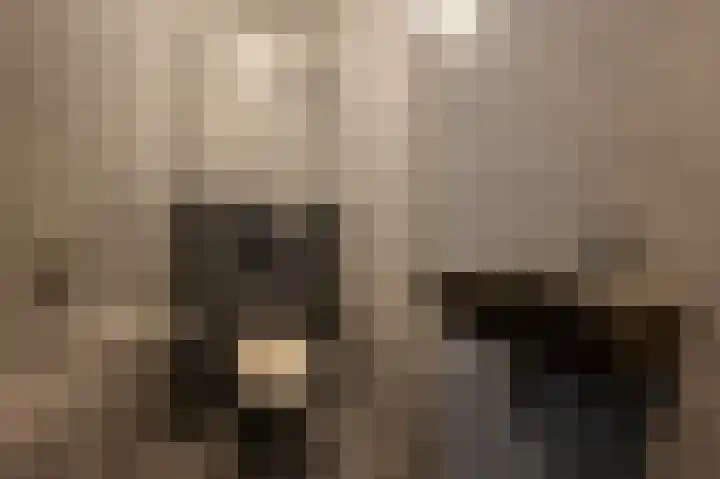 Laan van Meerdervoort 39 A Den Haag thumbnail 42