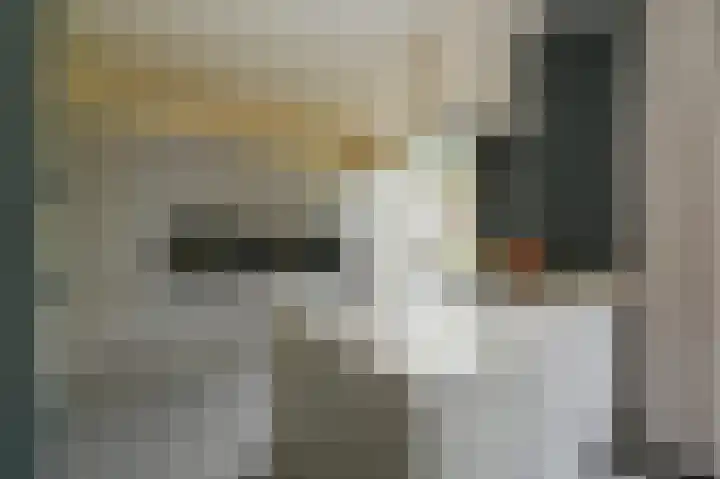 Laan van Meerdervoort 39 A Den Haag thumbnail 7