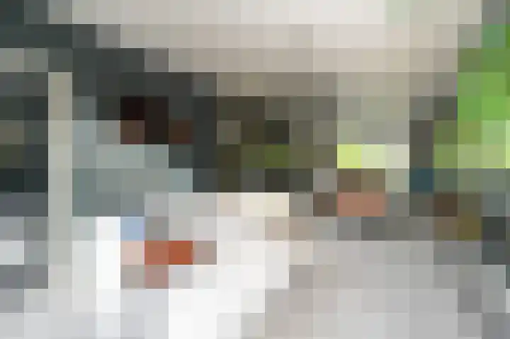Laan van Meerdervoort 39 A Den Haag thumbnail 9