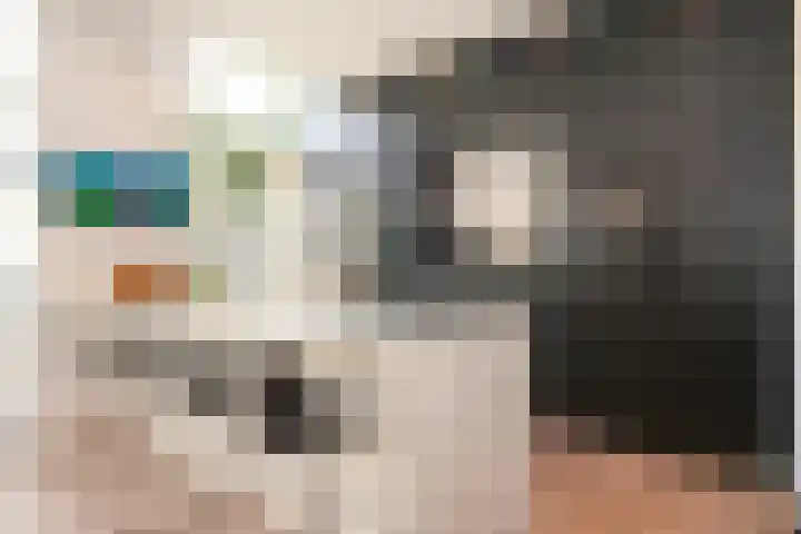 Laan van Meerdervoort 410 Den Haag thumbnail 13