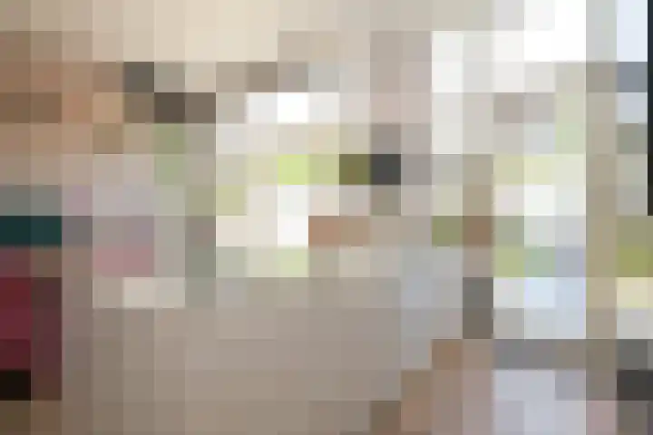 Laan van Meerdervoort 410 Den Haag thumbnail 14