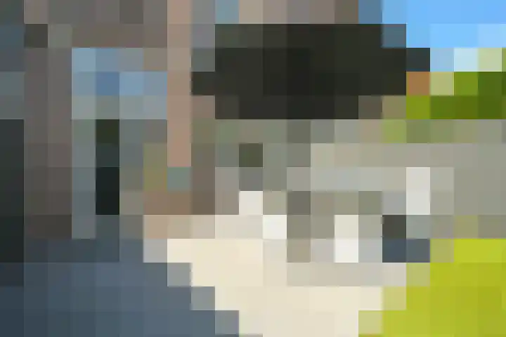 Laan van Meerdervoort 410 Den Haag thumbnail 22