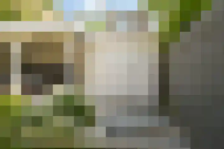 Laan van Meerdervoort 410 Den Haag thumbnail 23