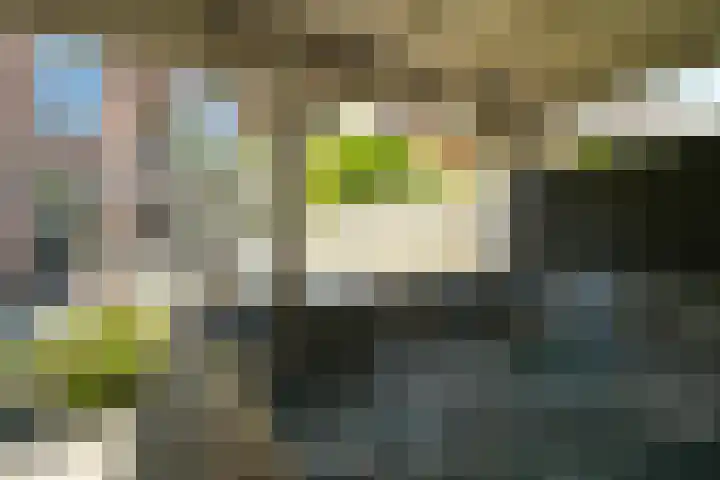 Laan van Meerdervoort 410 Den Haag thumbnail 28