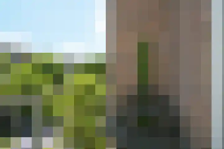 Laan van Meerdervoort 410 Den Haag thumbnail 44