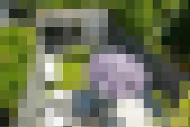 Laan van Meerdervoort 410 Den Haag thumbnail 45