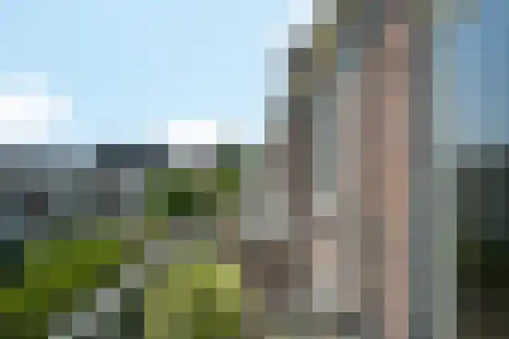 Laan van Meerdervoort 410 Den Haag thumbnail 60