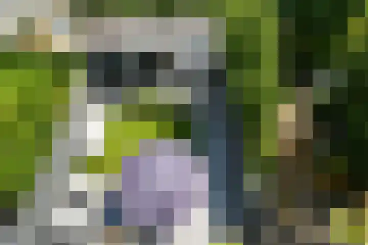 Laan van Meerdervoort 410 Den Haag thumbnail 61