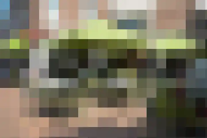 Laan van Meerdervoort 410 Den Haag thumbnail 66