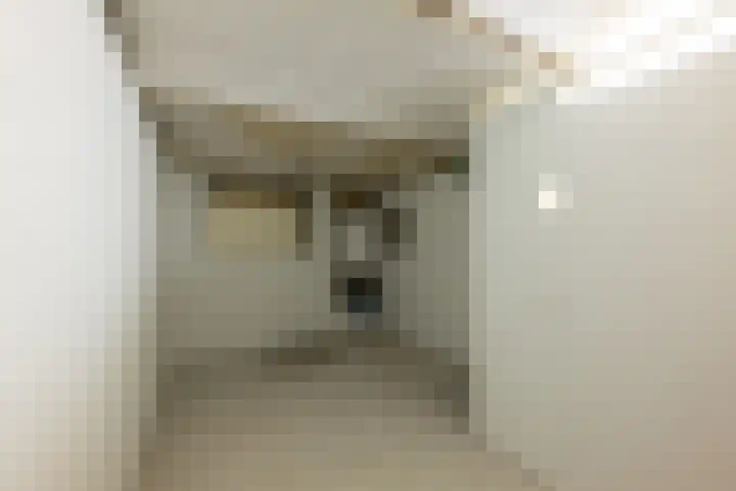 Laan van Meerdervoort 411 Den Haag thumbnail 39