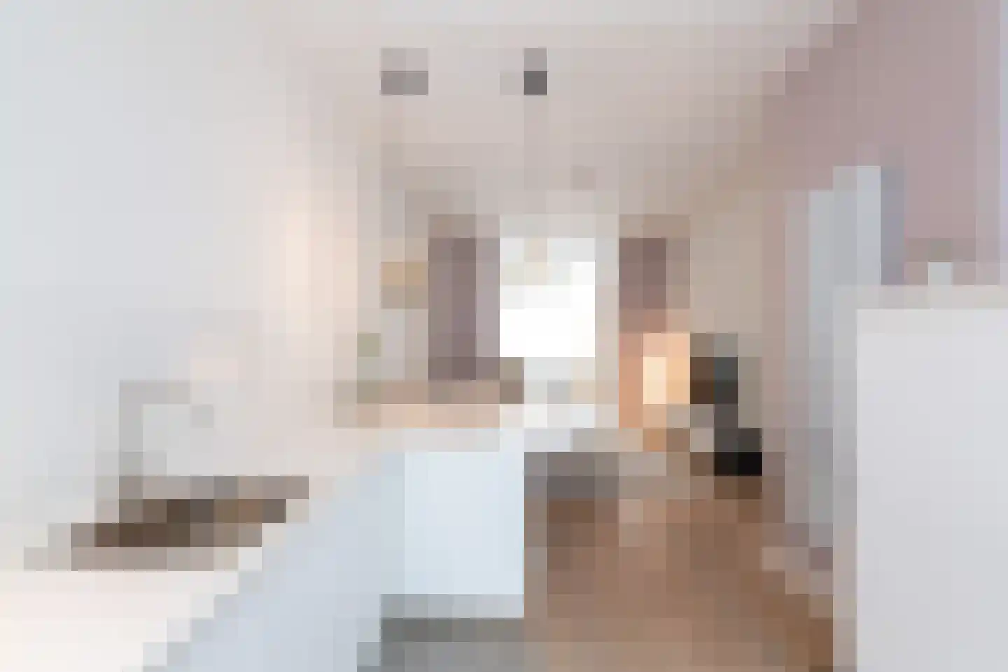 Laan van Meerdervoort 411 Den Haag thumbnail 4