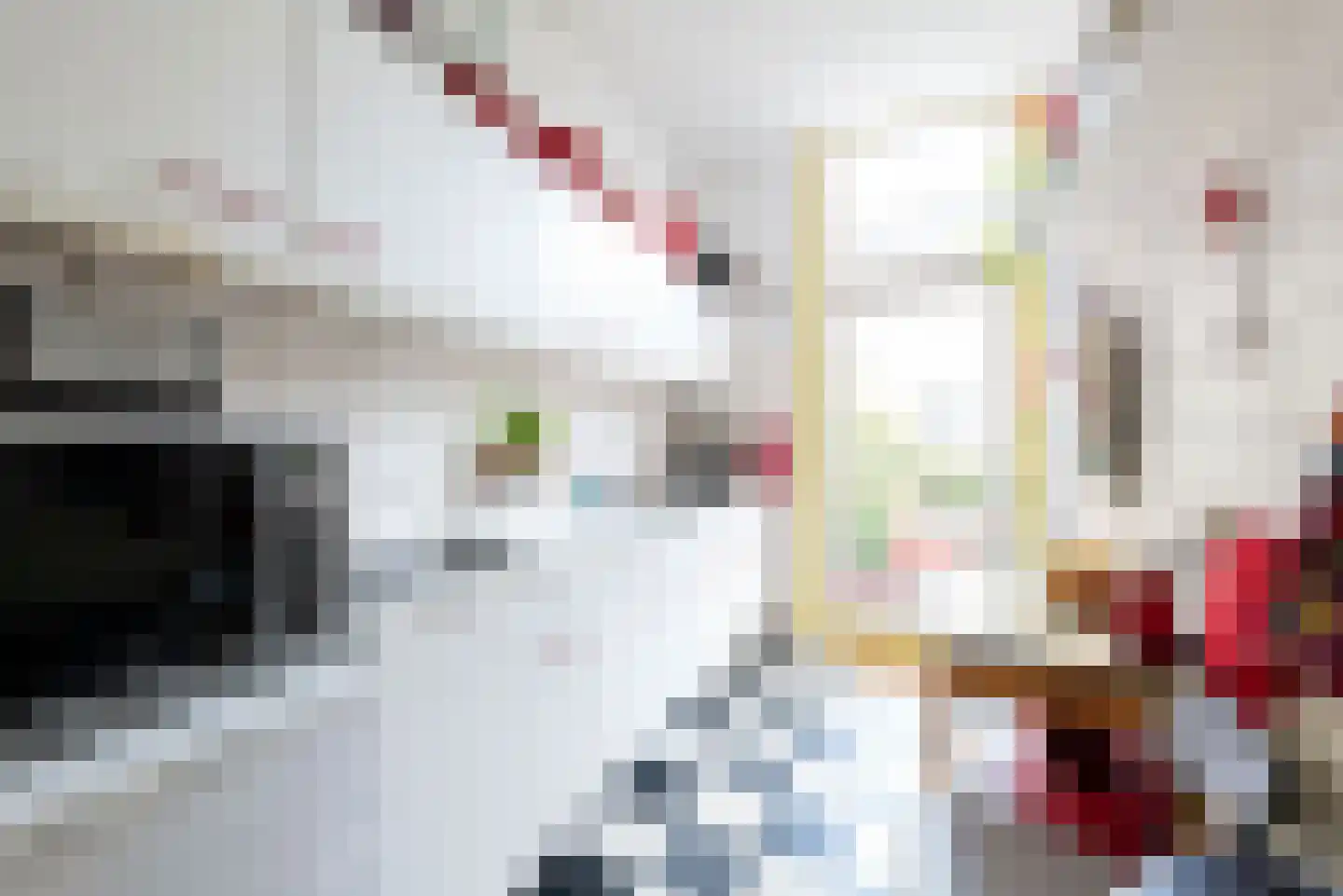 Laan van Meerdervoort 411 Den Haag thumbnail 48