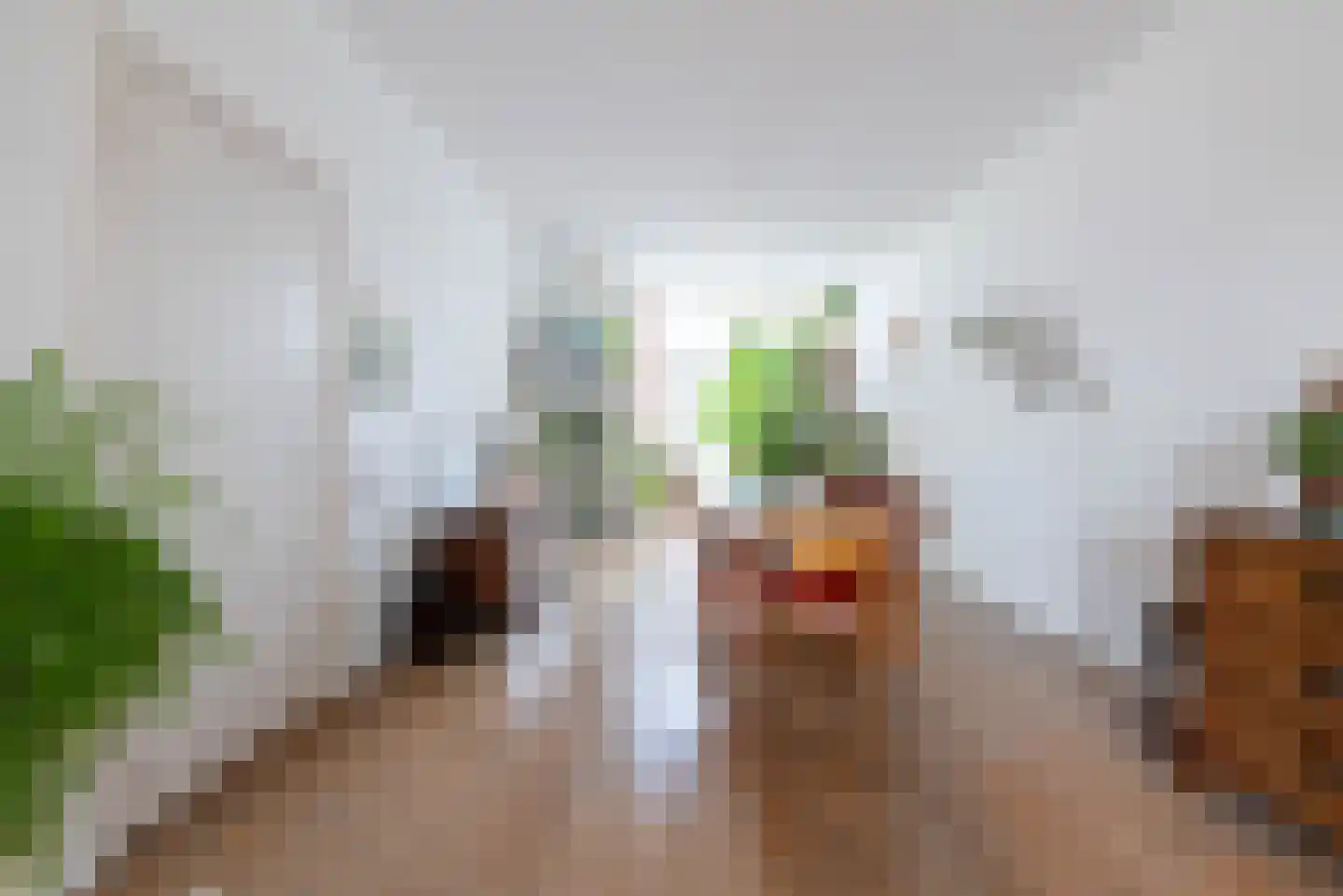 Laan van Meerdervoort 411 Den Haag thumbnail 54