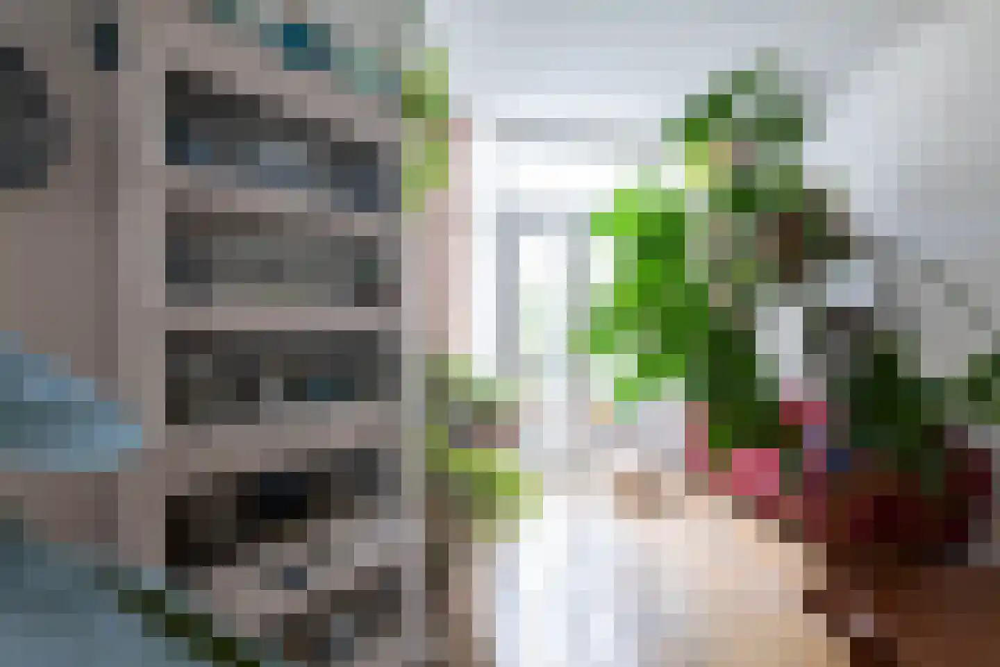 Laan van Meerdervoort 411 Den Haag thumbnail 55